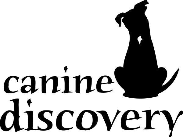 Jen K. Severud logo