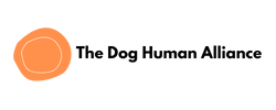 Alison Schmidt Magoon logo