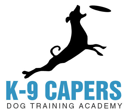 Donna Rogers logo