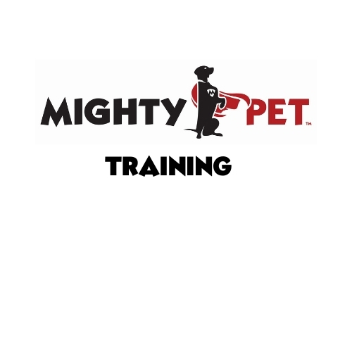 Meghan M. Smith logo