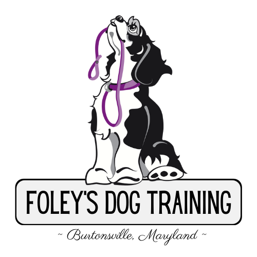 Erin Foley logo