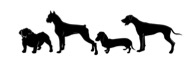Tess Robbins logo