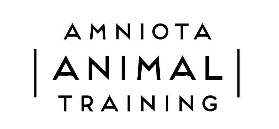 Kelsey Danae McFarland logo