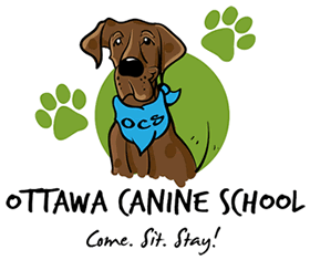 Chantal Mills logo