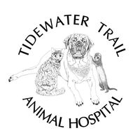 Andrea Susan Lindamood logo