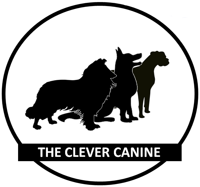 Kristin Snider logo