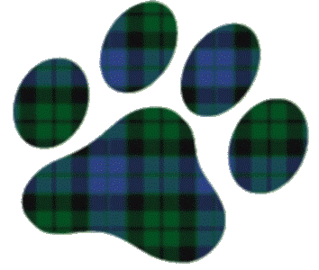 Stephen McKay logo