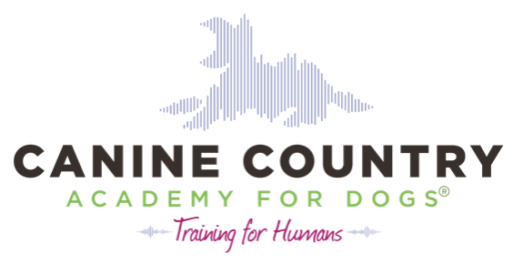 Rachel Anne Emery logo