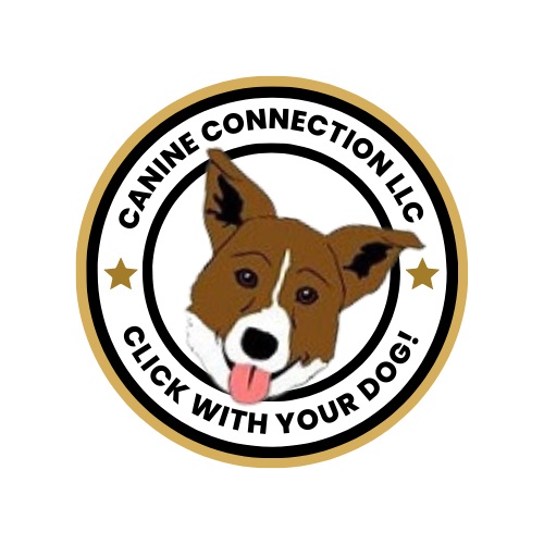 Lucinda M. Ludwig logo
