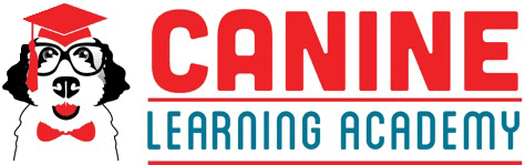 Julie Ellen Fryman logo