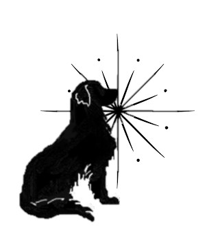Karen F. Ogden logo