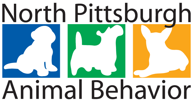 Beth A. McGonigal logo