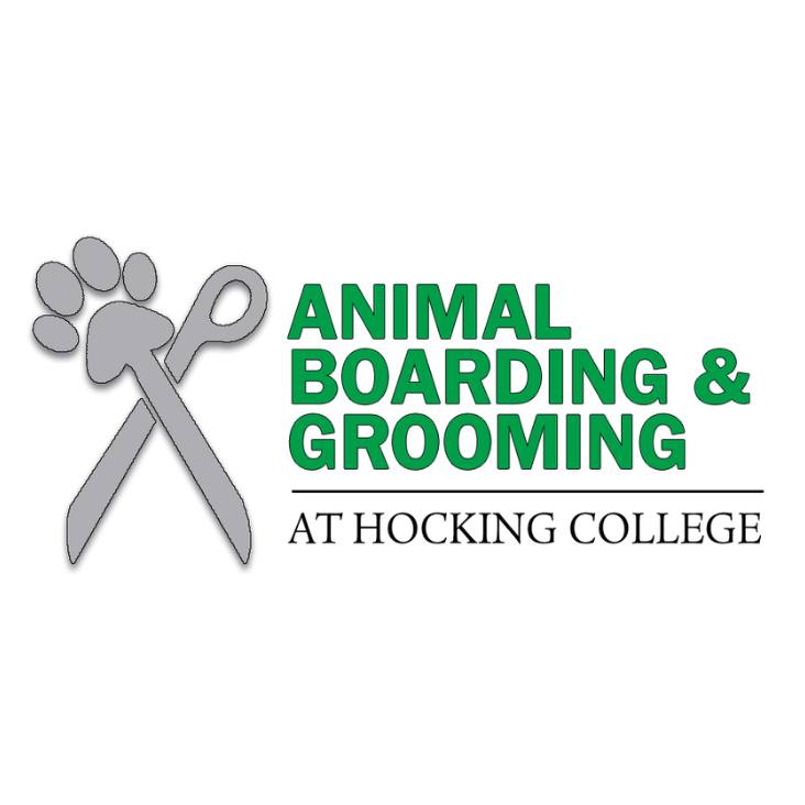 Cynthia Ann Conner logo