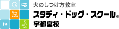 Yuta Okamoto logo
