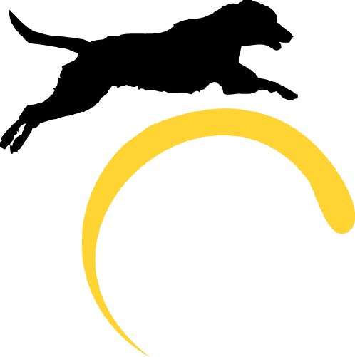 Lora G. Johnson logo