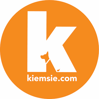 Kiem Sie logo