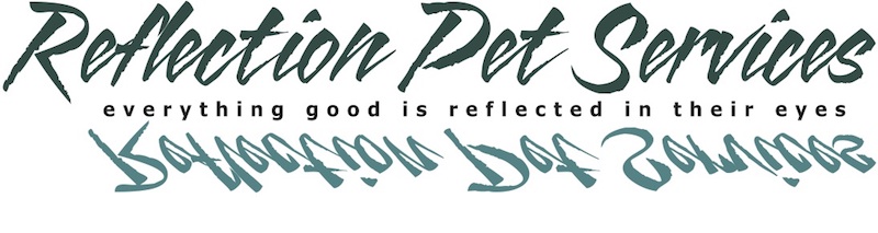 Donna Toews logo