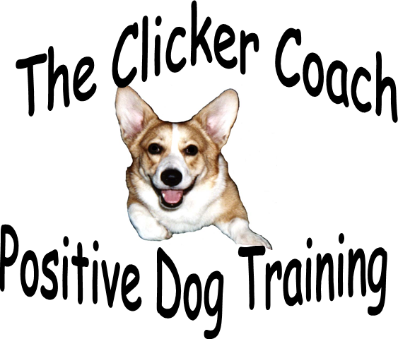 Emily E. Gaydos logo
