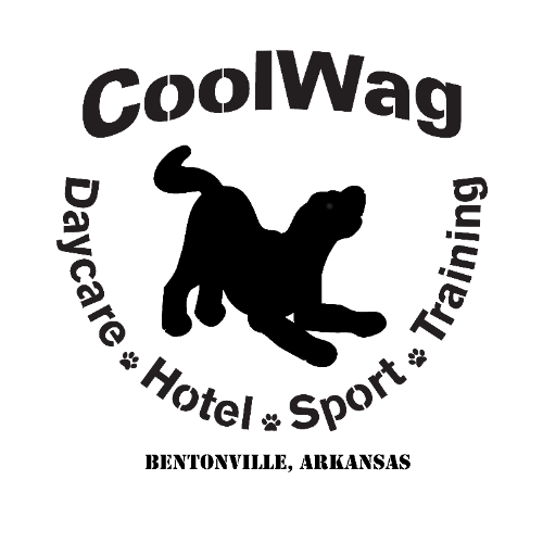 Heather E. Wegner, CPDT-KSA logo