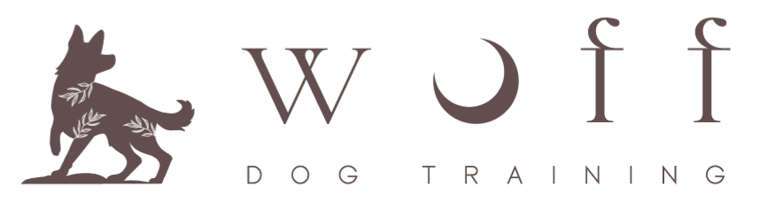 Caroline Wu logo