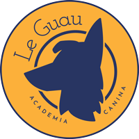 Giancarlo Camilli logo