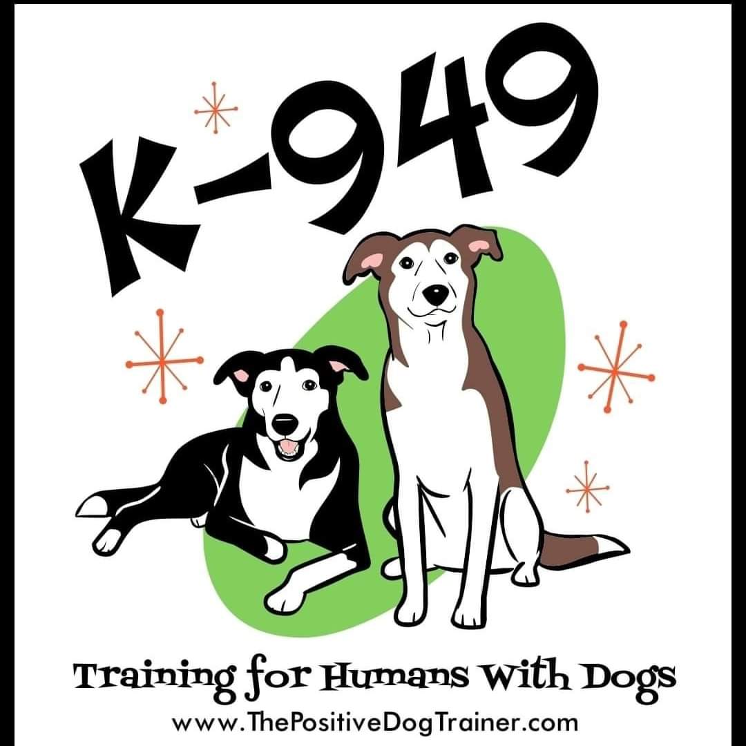 Shannon B. Thier logo