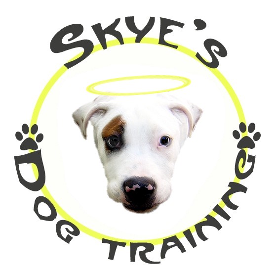 Skye M. Poitras logo