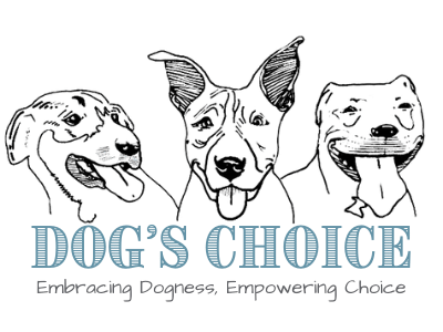Rachael Magee logo