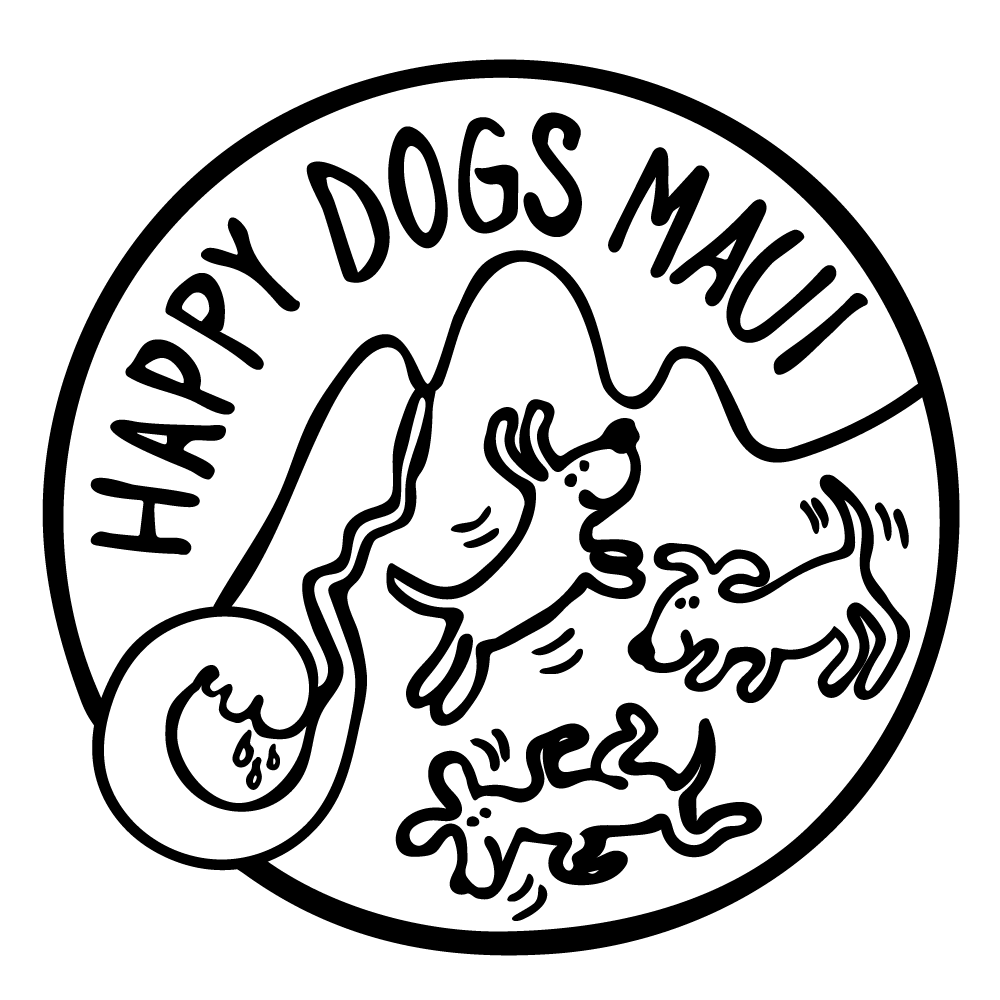 Kristin Solbach logo