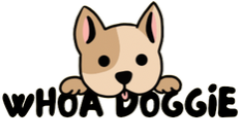 Brandy Pollock logo