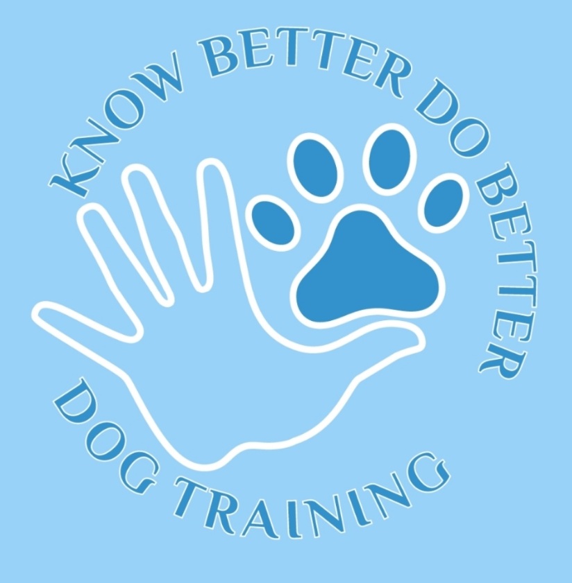 Brittni Sabra Danyell Hyzer logo