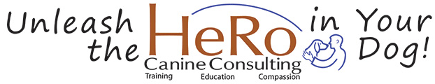 Silke Wittig logo