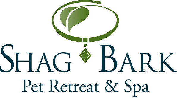Brian A. McGuire logo
