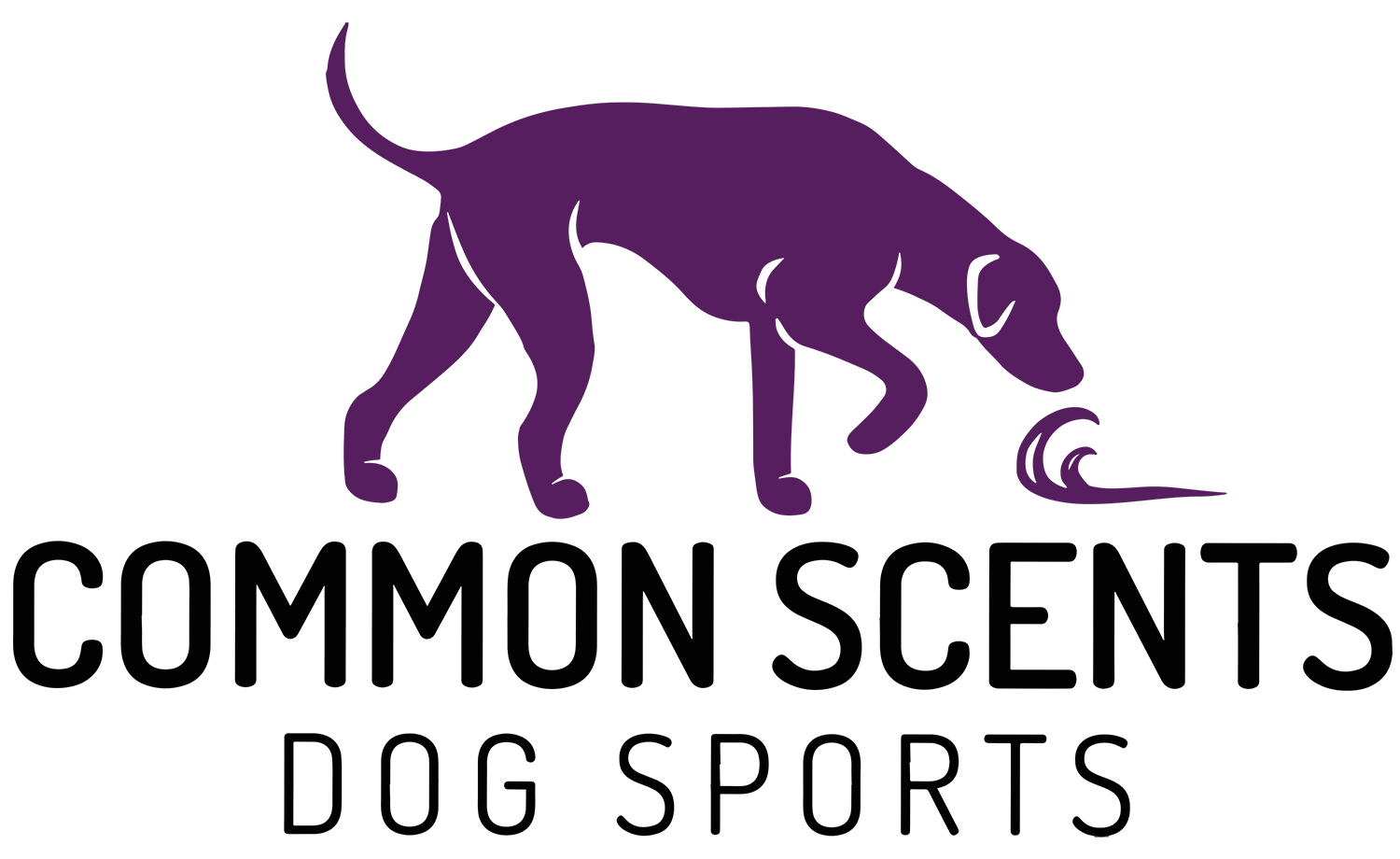Lisa Wasielewski logo