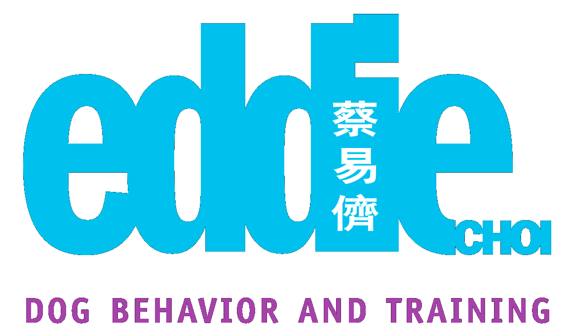Eddie Choi logo