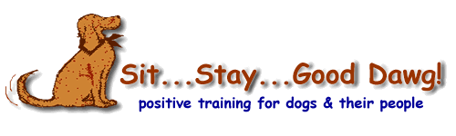 Cyndy Wood logo
