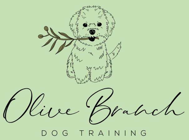 Olivia Renee Bainter logo