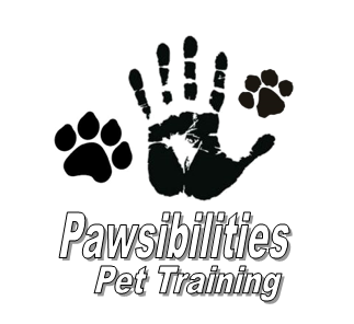 Melissa A. Childs logo