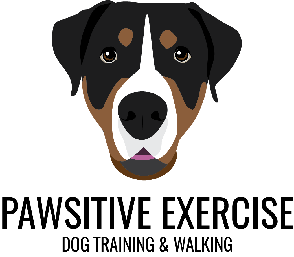 Chantal Marie Jessiman logo